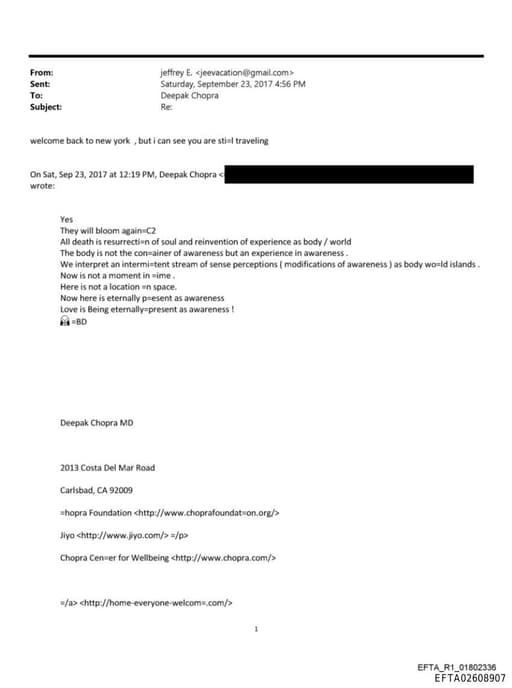 Preview of EFTA02608907