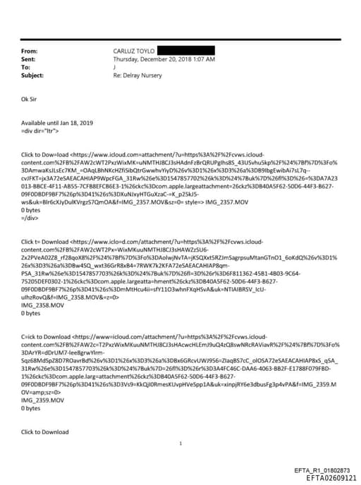 Preview of EFTA02609121