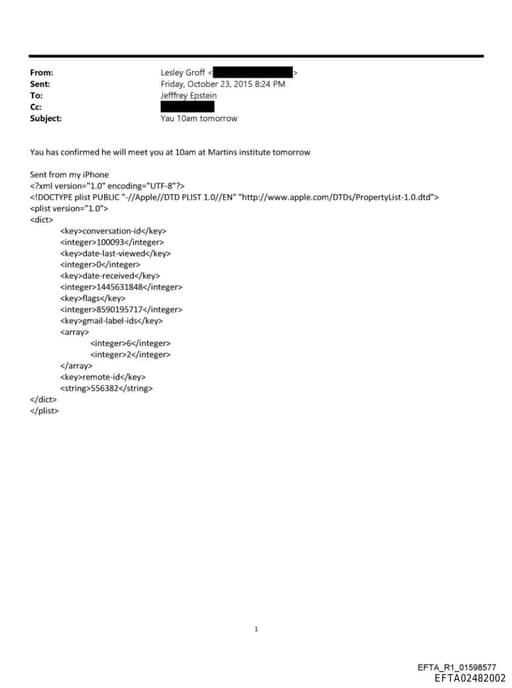 Preview of EFTA02482002