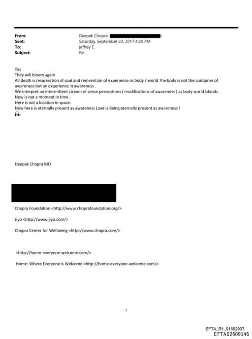 Preview of EFTA02609146