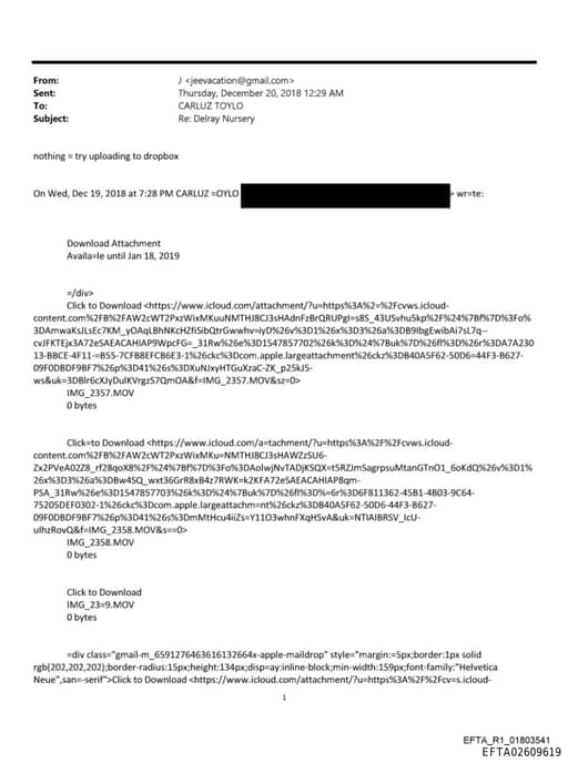 Preview of EFTA02609619