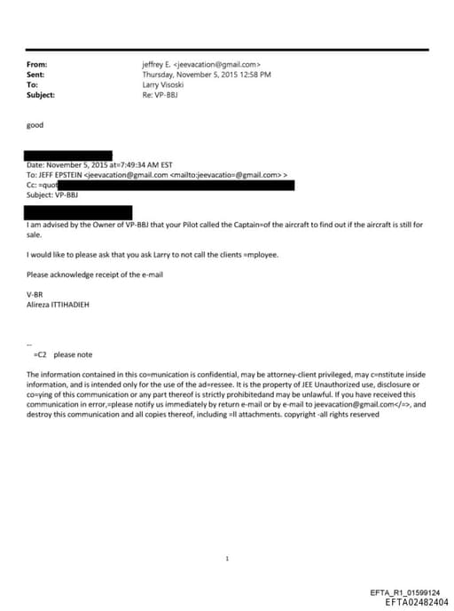 Preview of EFTA02482404