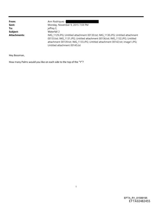 Preview of EFTA02482455