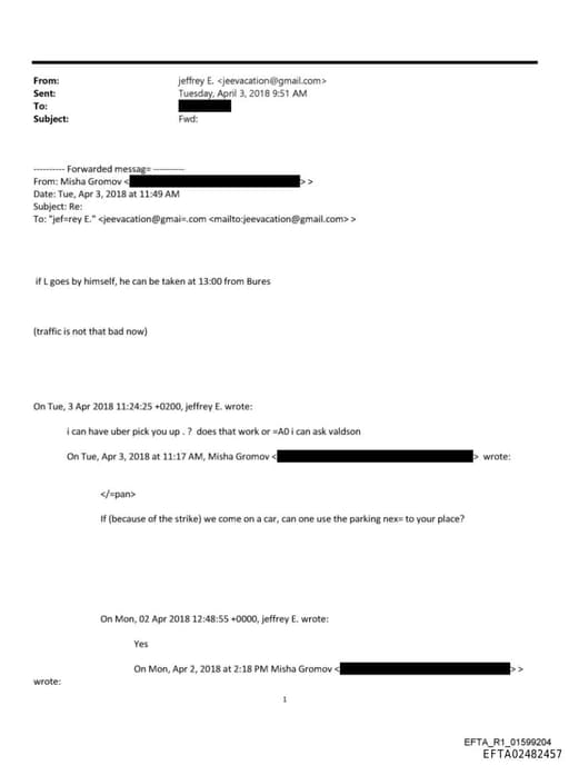 Preview of EFTA02482457