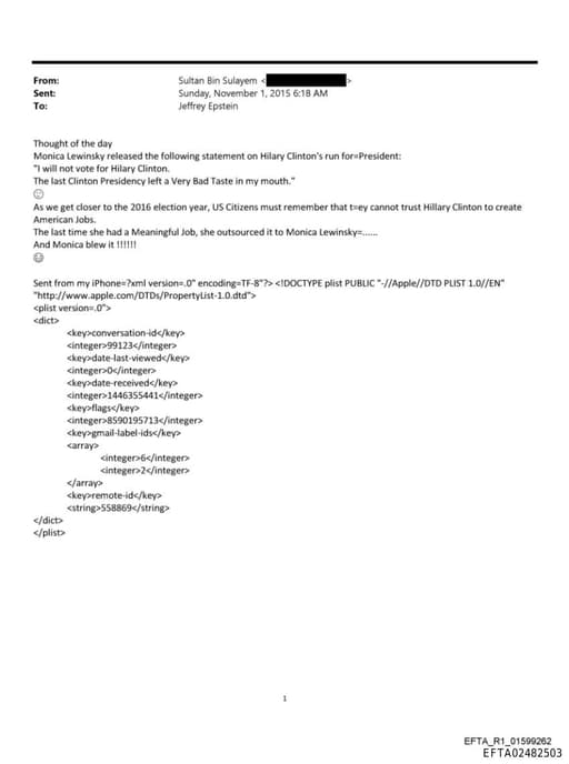 Preview of EFTA02482503