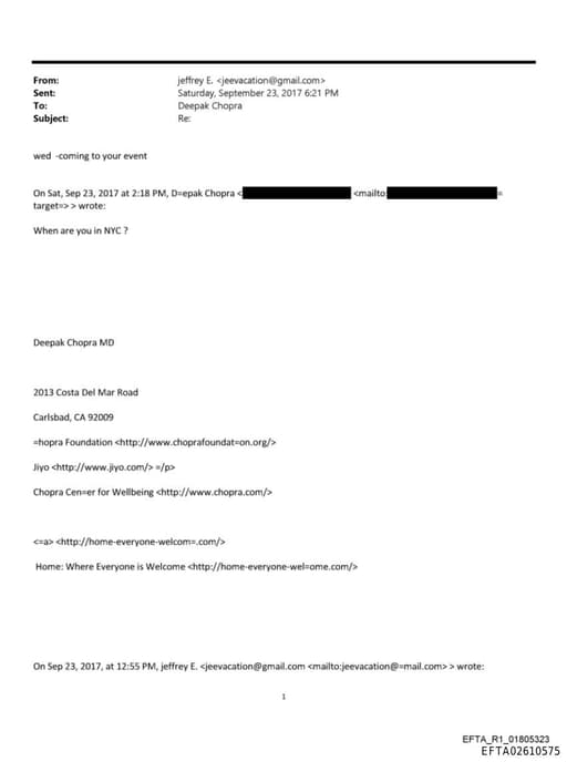 Preview of EFTA02610575