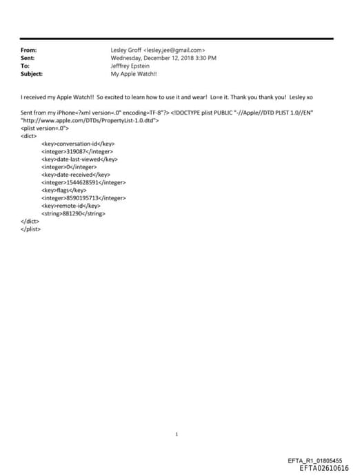 Preview of EFTA02610616