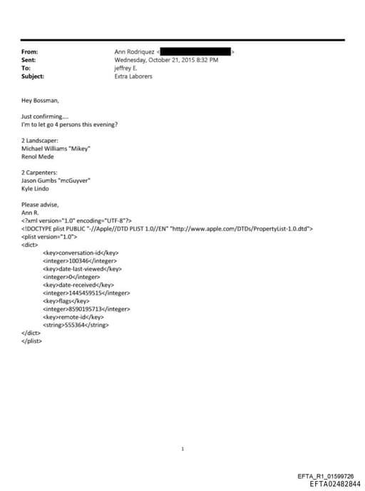 Preview of EFTA02482844