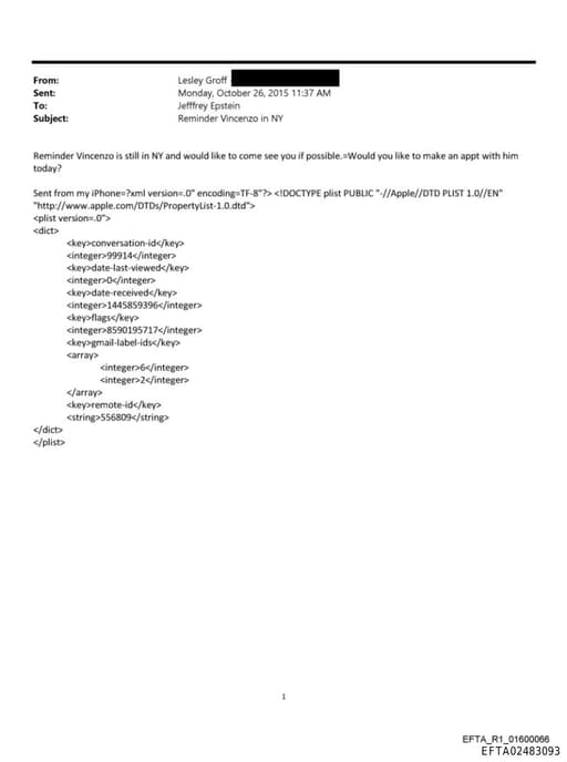 Preview of EFTA02483093