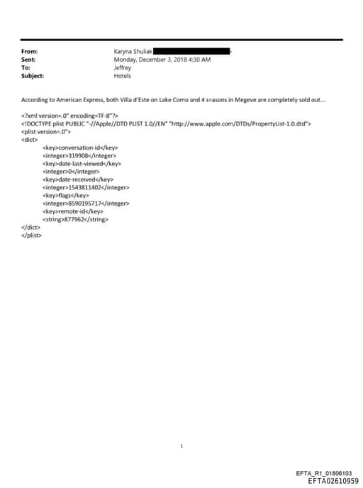 Preview of EFTA02610959