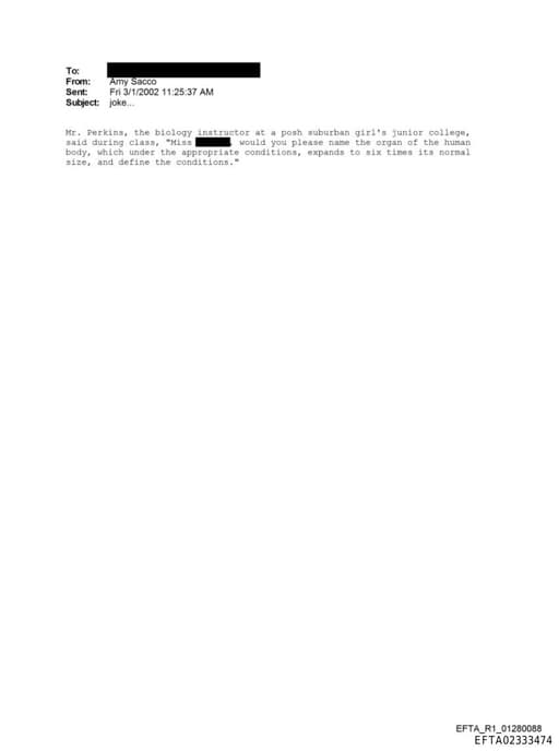 Preview of EFTA02333474