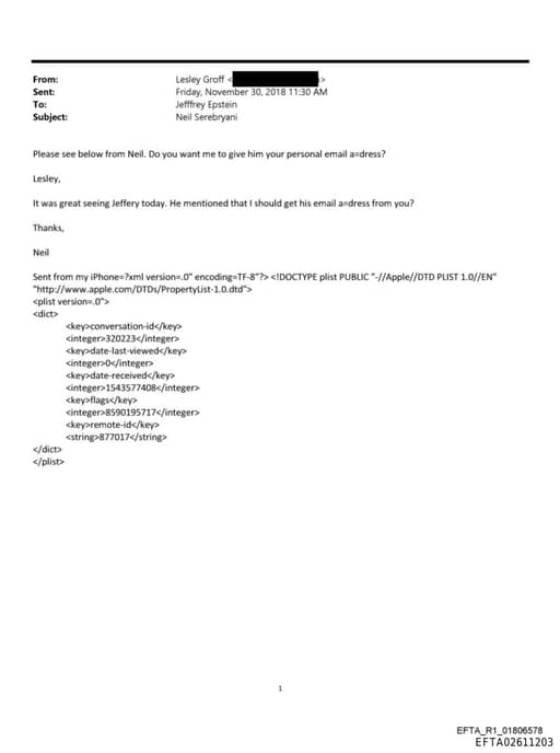 Preview of EFTA02611203