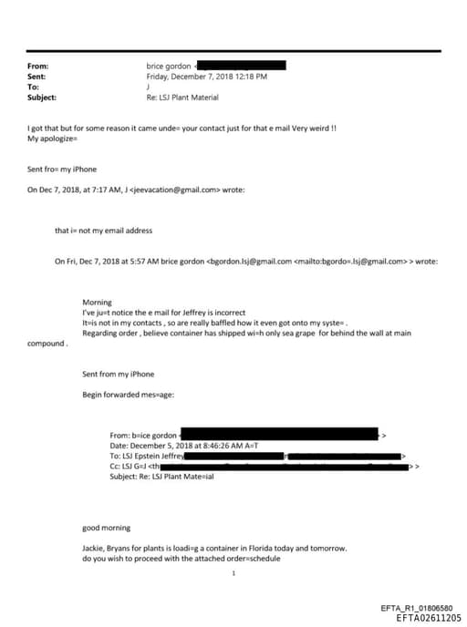 Preview of EFTA02611205