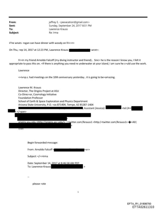 Preview of EFTA02611310