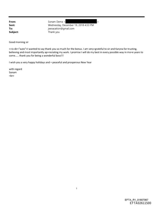 Preview of EFTA02611500