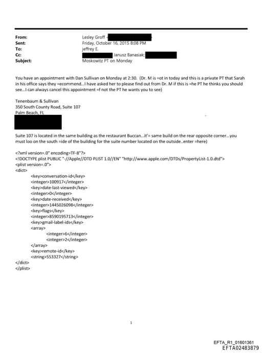 Preview of EFTA02483879