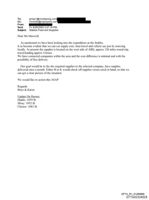 Preview of EFTA02334029