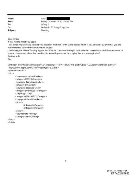 Preview of EFTA02484021