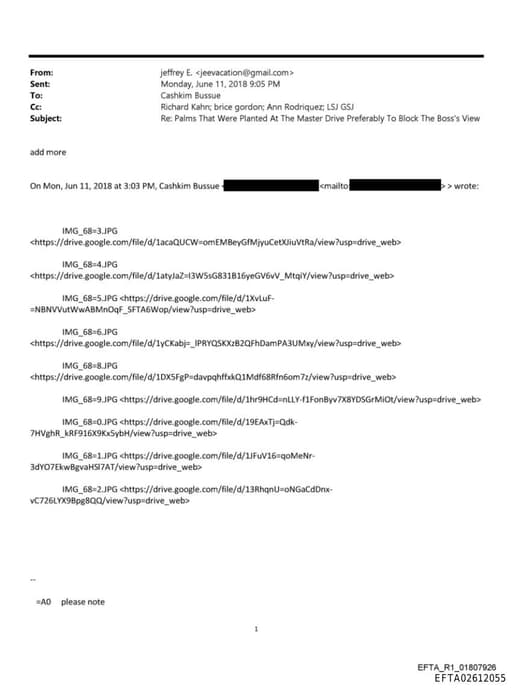 Preview of EFTA02612055