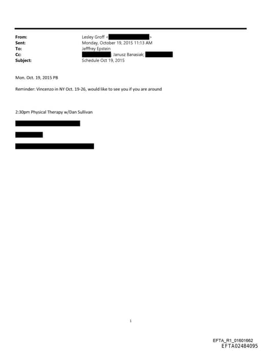 Preview of EFTA02484095