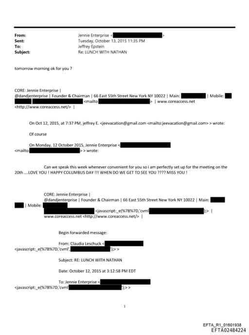 Preview of EFTA02484224