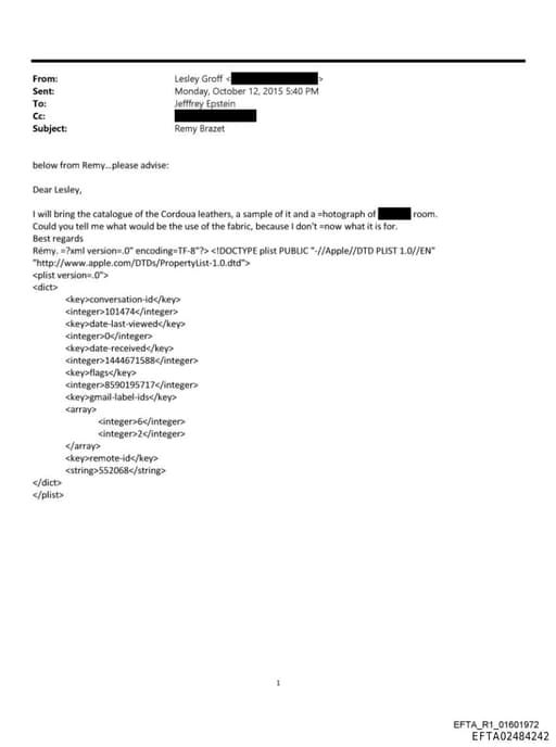 Preview of EFTA02484242