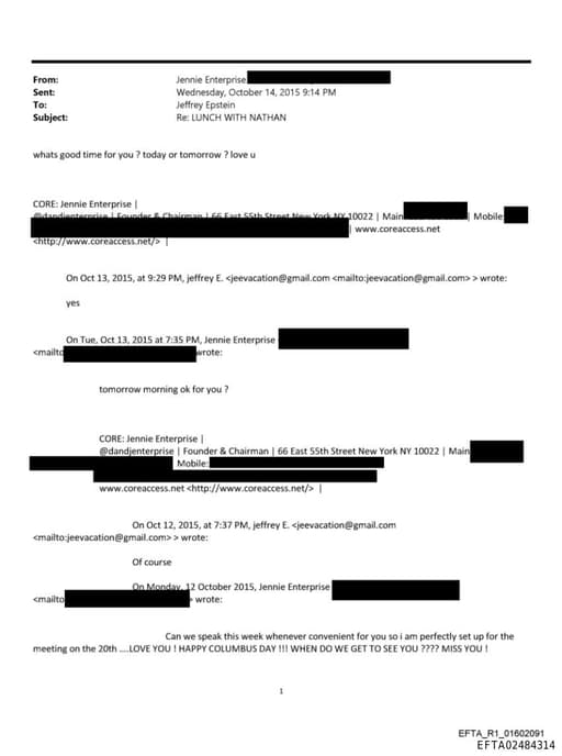 Preview of EFTA02484314