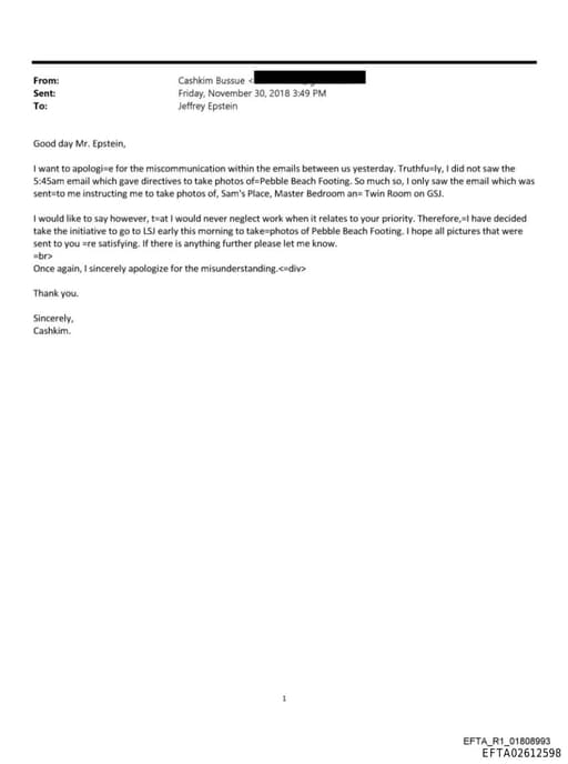 Preview of EFTA02612598