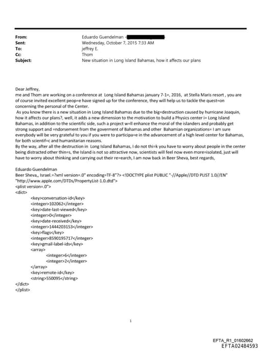 Preview of EFTA02484593