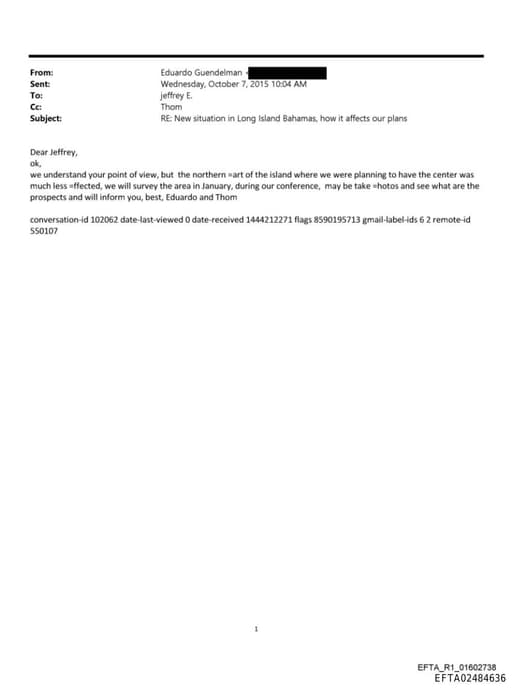 Preview of EFTA02484636