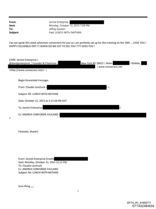 Preview of EFTA02484656