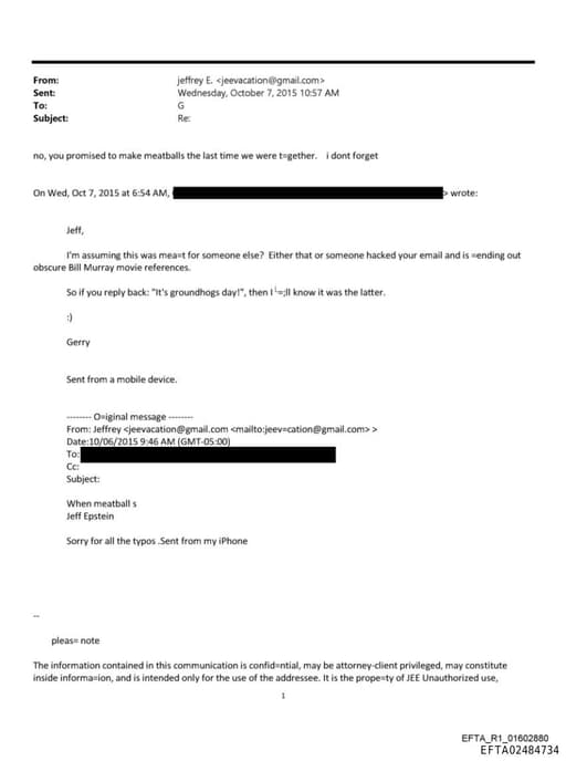 Preview of EFTA02484734