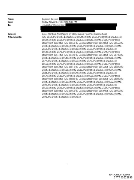 Preview of EFTA02612856