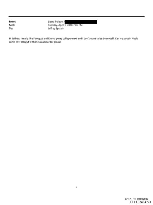 Preview of EFTA02484771