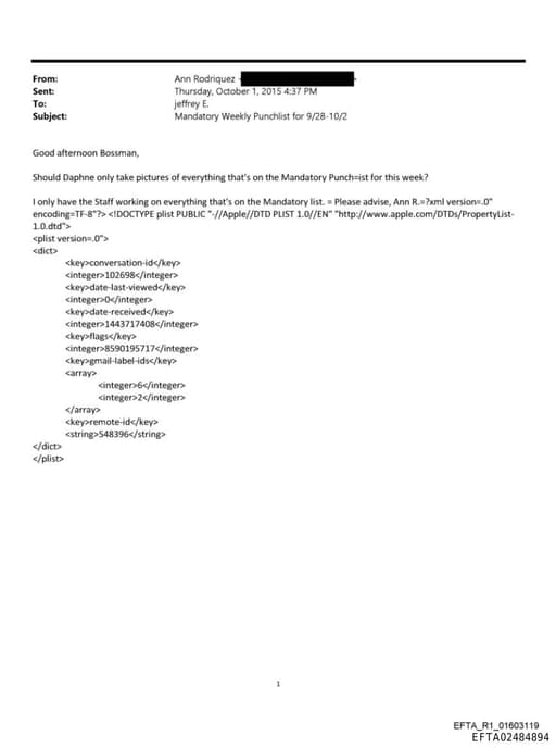 Preview of EFTA02484894