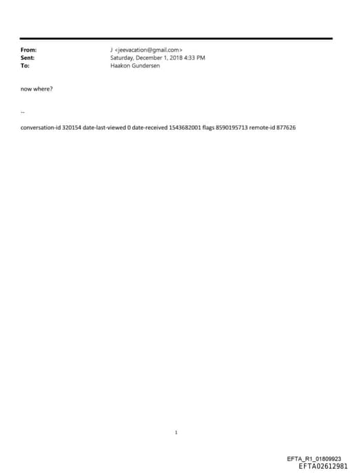 Preview of EFTA02612981