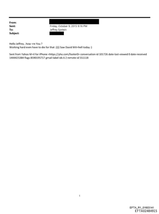 Preview of EFTA02484915