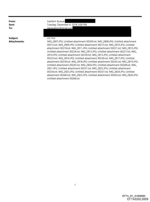 Preview of EFTA02613009