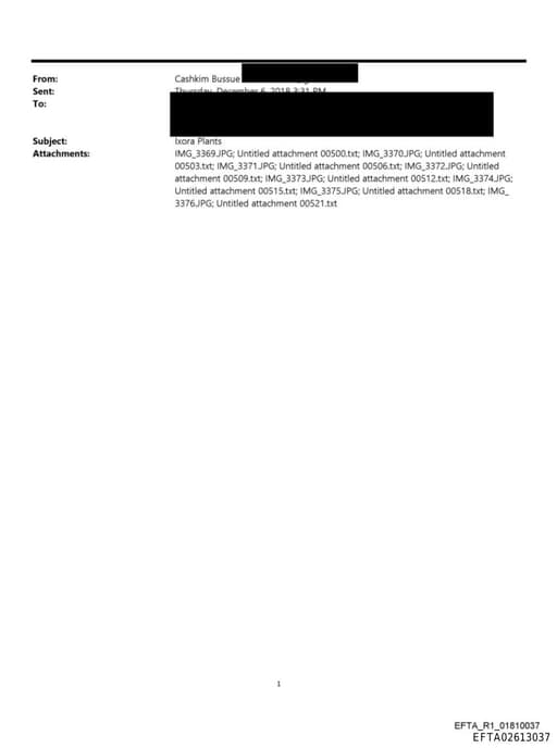 Preview of EFTA02613037