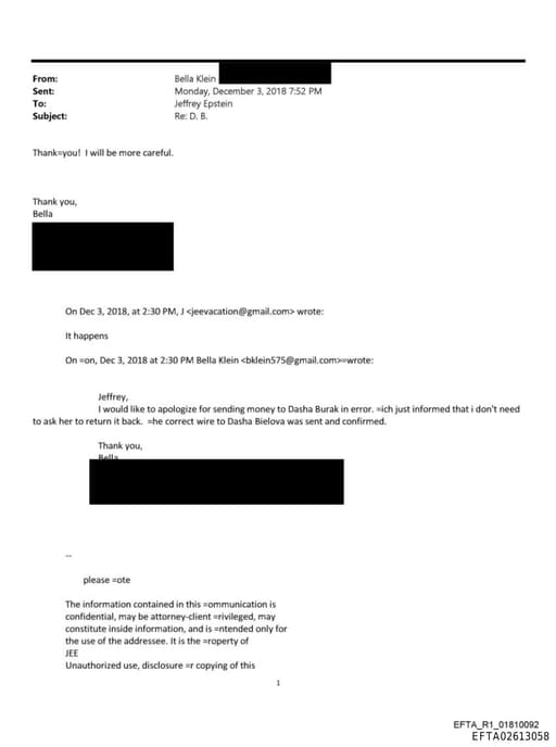 Preview of EFTA02613058