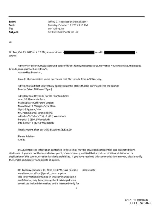 Preview of EFTA02485075