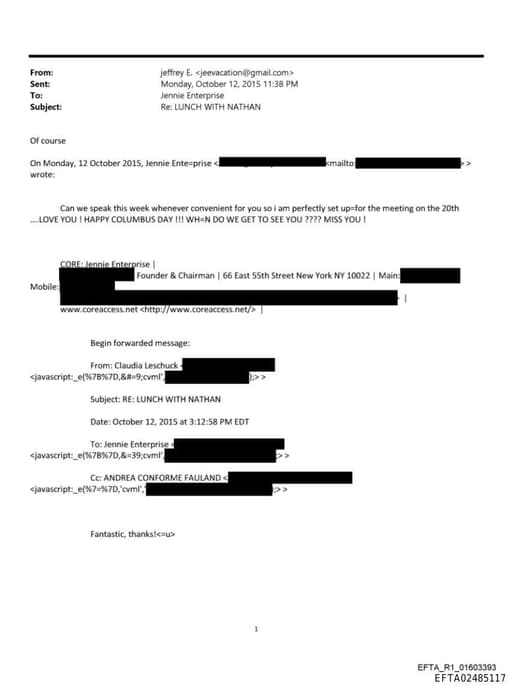 Preview of EFTA02485117