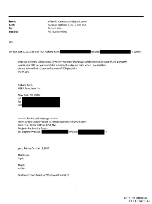 Preview of EFTA02485142