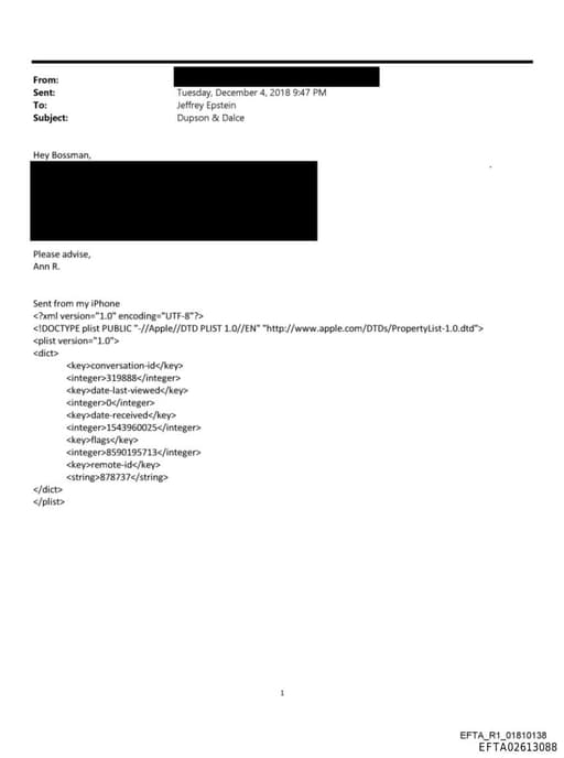 Preview of EFTA02613088