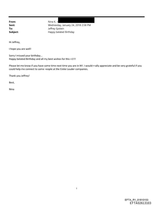 Preview of EFTA02613103