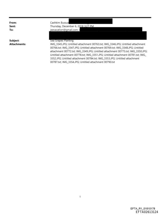 Preview of EFTA02613124