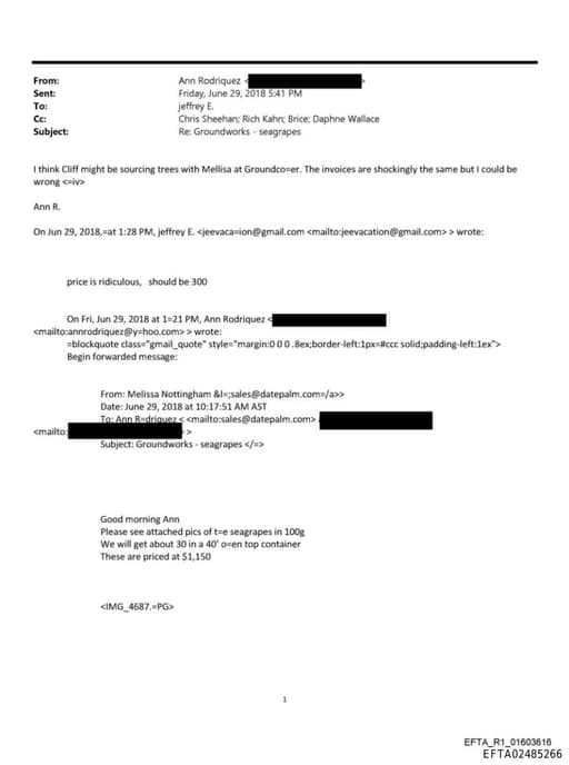 Preview of EFTA02485266