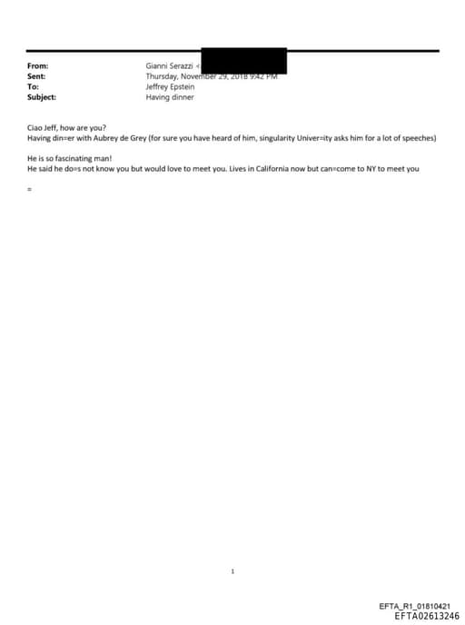 Preview of EFTA02613246