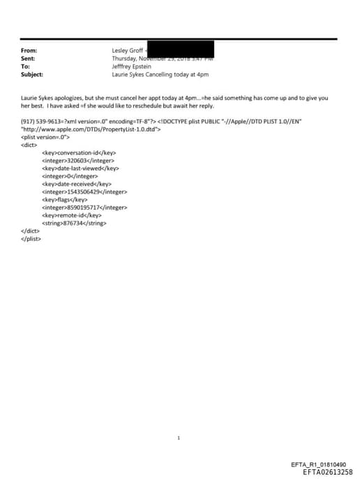 Preview of EFTA02613258