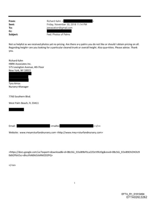 Preview of EFTA02613262